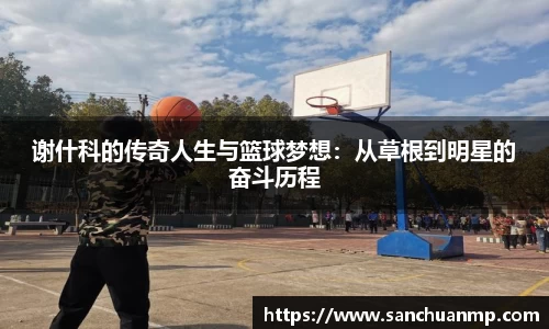谢什科的传奇人生与篮球梦想：从草根到明星的奋斗历程